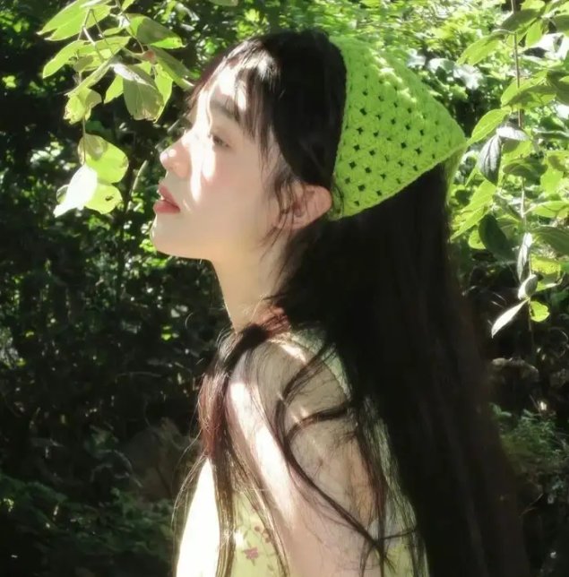 木兰之巾帼英豪 封面
